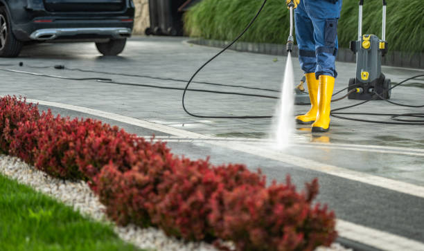 Local Pressure Washing Services in Spring Ridge, MD
